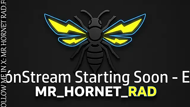 s hornet online show from 04/22/26, 09:38