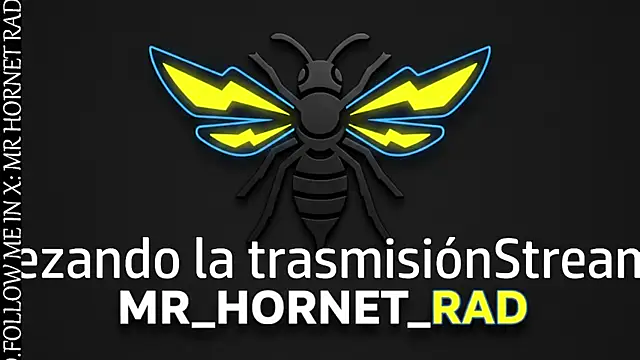 s hornet online show from 04/23/26, 02:52