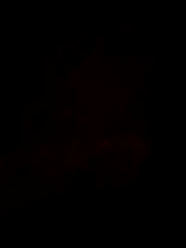 Yassine 1985 online show from 07/20/26, 11:56