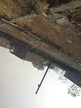 sexyboy 917 online show from 04/22/26, 03:20