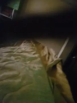 Xavlex0803 online show from 04/17/26, 12:41