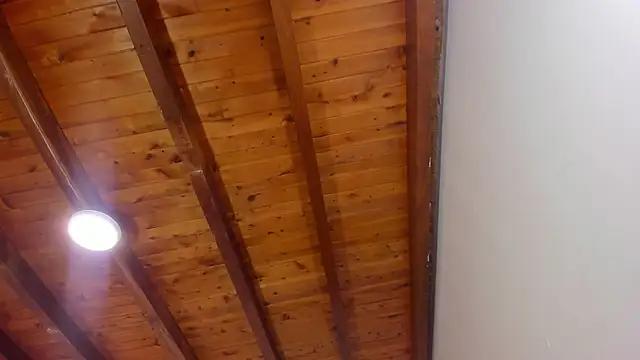 Im FelixHunter online show from 04/14/26, 11:27