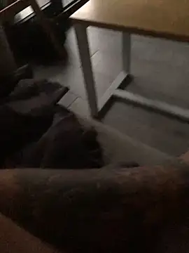 psilocibina22 online show from 02/20/26, 09:21