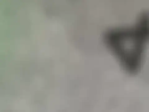 dearornge online show from 03/17/26, 07:01