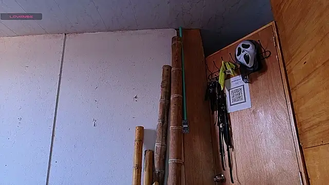 Alice randyy online show from 02/12/26, 01:17