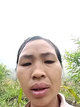 xiaogoal online show from 07/22/26, 02:36