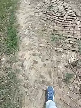 Pagelboy 089 online show from 03/27/26, 08:20