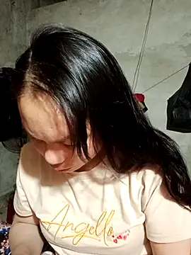 Snapshot of vanvan005 chatting on 01/17/26, 11:30 vanvan005 online show from 01/17/26, 11:30