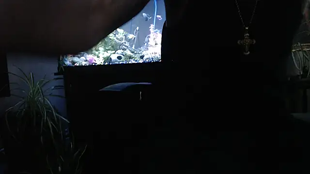 EspanolVato online show from 04/02/26, 11:46