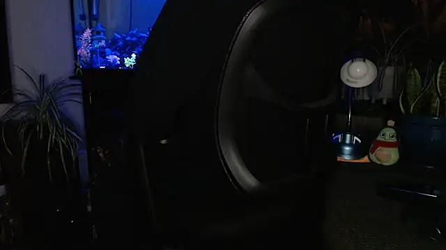 EspanolVato online show from 04/05/26, 11:40