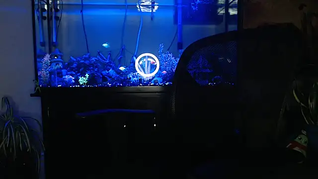 EspanolVato online show from 04/22/26, 08:28