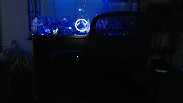 EspanolVato online show from 04/23/26, 08:24