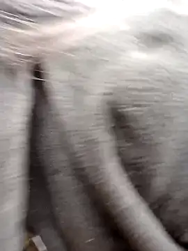 him220 online show from 02/23/26, 01:36