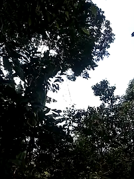 him220 online show from 03/02/26, 06:58