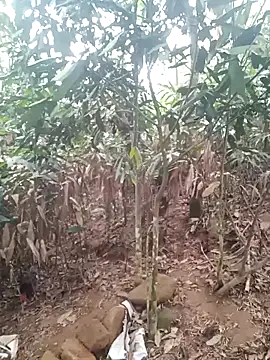 him220 online show from 04/21/26, 11:07