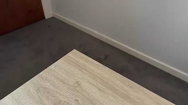 adelaide2026 online show from 04/02/26, 03:37