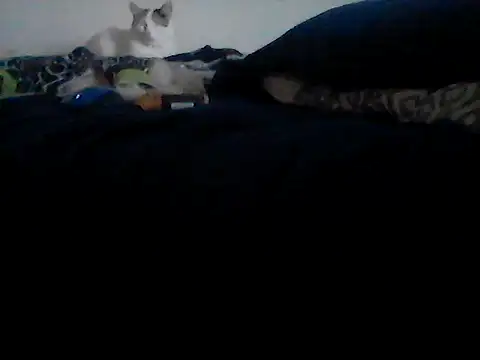 Snapshot of Silencio26 chatting on 02/24/26, 09:24 Silencio26 online show from 02/24/26, 09:24