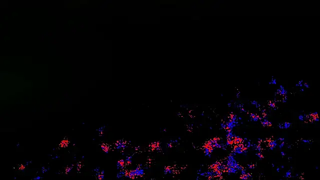 wolverinedream online show from 04/20/26, 03:59