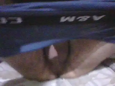 kemo2087 online show from 04/02/26, 10:18