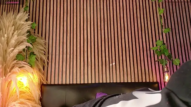 Hiddenhotcake online show from 03/24/26, 06:57