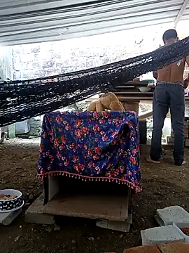 cielo420 online show from 04/23/26, 05:37