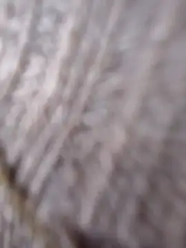 Cataleya 16 online show from 03/15/26, 07:09