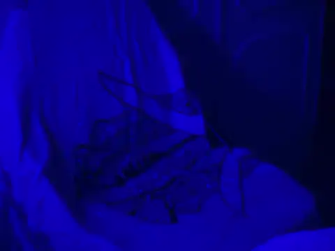 WarmSound online show from 01/17/26, 08:52