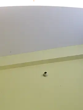 trinasa online show from 04/08/26, 07:47