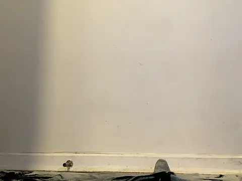 AnnoyedAnnual online show from 01/15/26, 12:15