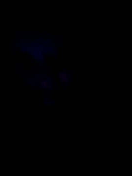 Sonja200 online show from 01/08/26, 12:13