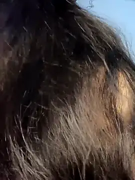 sexygirl889 online show from 04/19/26, 04:45