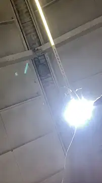 Snapshot of Dildogang chatting on 02/11/26, 02:49 Dildogang online show from 02/11/26, 02:49