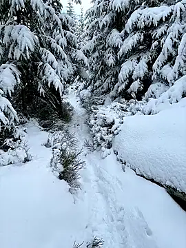 Snapshot of Marina_und_Jayden chatting on 02/18/26, 02:24 Marina und Jayden online show from 02/18/26, 02:24