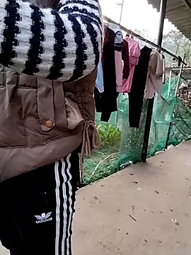 waaini99 online show from 01/13/26, 12:27