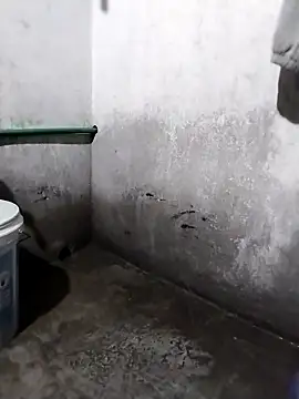 waaini99 online show from 02/25/26, 12:20