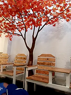 Dante Knox online show from 02/24/26, 11:41