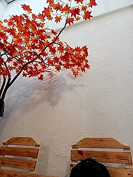 Dante Knox online show from 04/05/26, 11:18