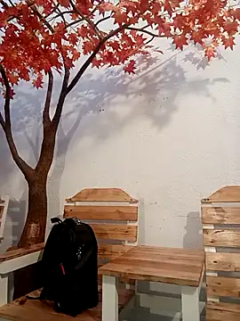 Dante Knox online show from 04/17/26, 11:02