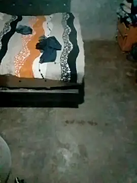 Guanatos13 online show from 04/15/26, 02:29