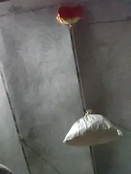 kulwantj online show from 01/18/26, 01:59