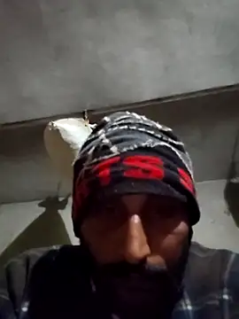 kulwantj online show from 01/19/26, 02:26