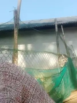 jjennyyy online show from 01/12/26, 03:23