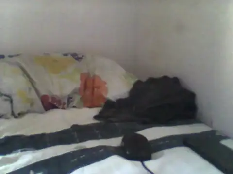 Snapshot of handsomeguy02 chatting on 04/14/26, 02:45 handsomeguy02 online show from 04/14/26, 02:45