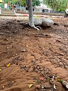 Snapshot of lunarous98 chatting on 01/13/26, 05:18 lunarous98 online show from 01/13/26, 05:18