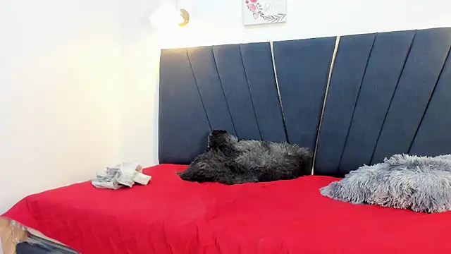 David cum18 online show from 01/18/26, 10:24