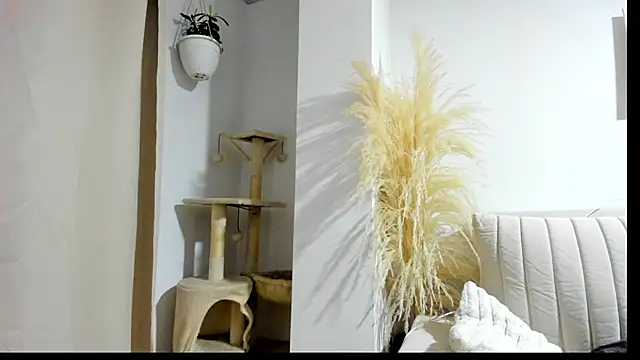  Sweet ary online show from 04/08/26, 02:55