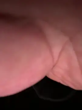 ForagingZealand online show from 01/13/26, 02:39