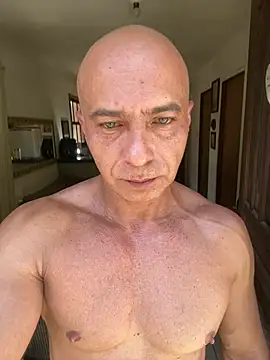 dogfrota online show from 02/05/26, 03:16