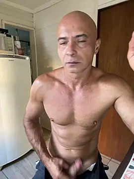 dogfrota online show from 02/09/26, 09:19