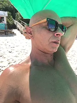 dogfrota online show from 02/12/26, 05:41